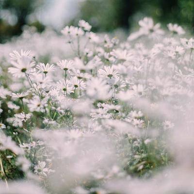 365体育手机版入口