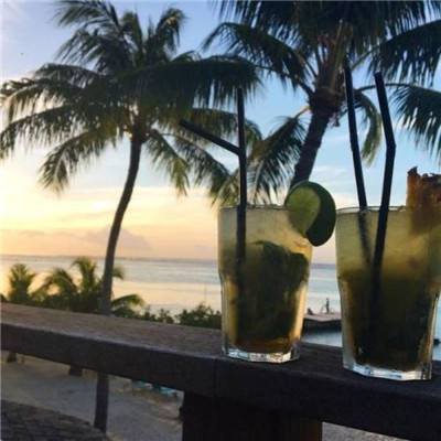 开云·体育(kaiyun)