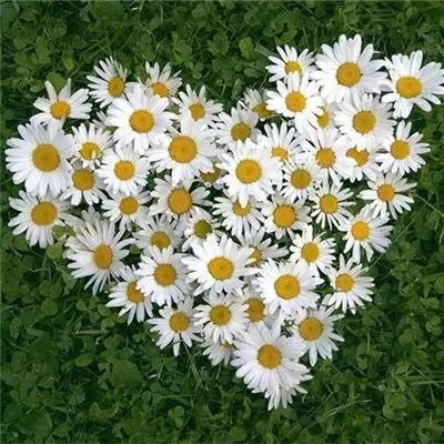 开云·体育(kaiyun)