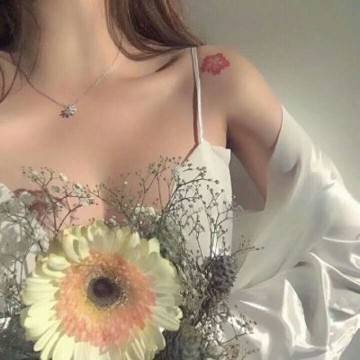 港澳宝典下载手机版